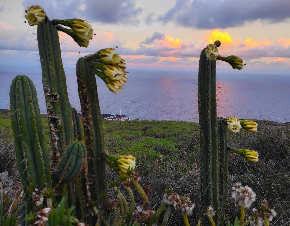 Nature Finca Apartment - Pure Relaxation Mazo エクステリア 写真
