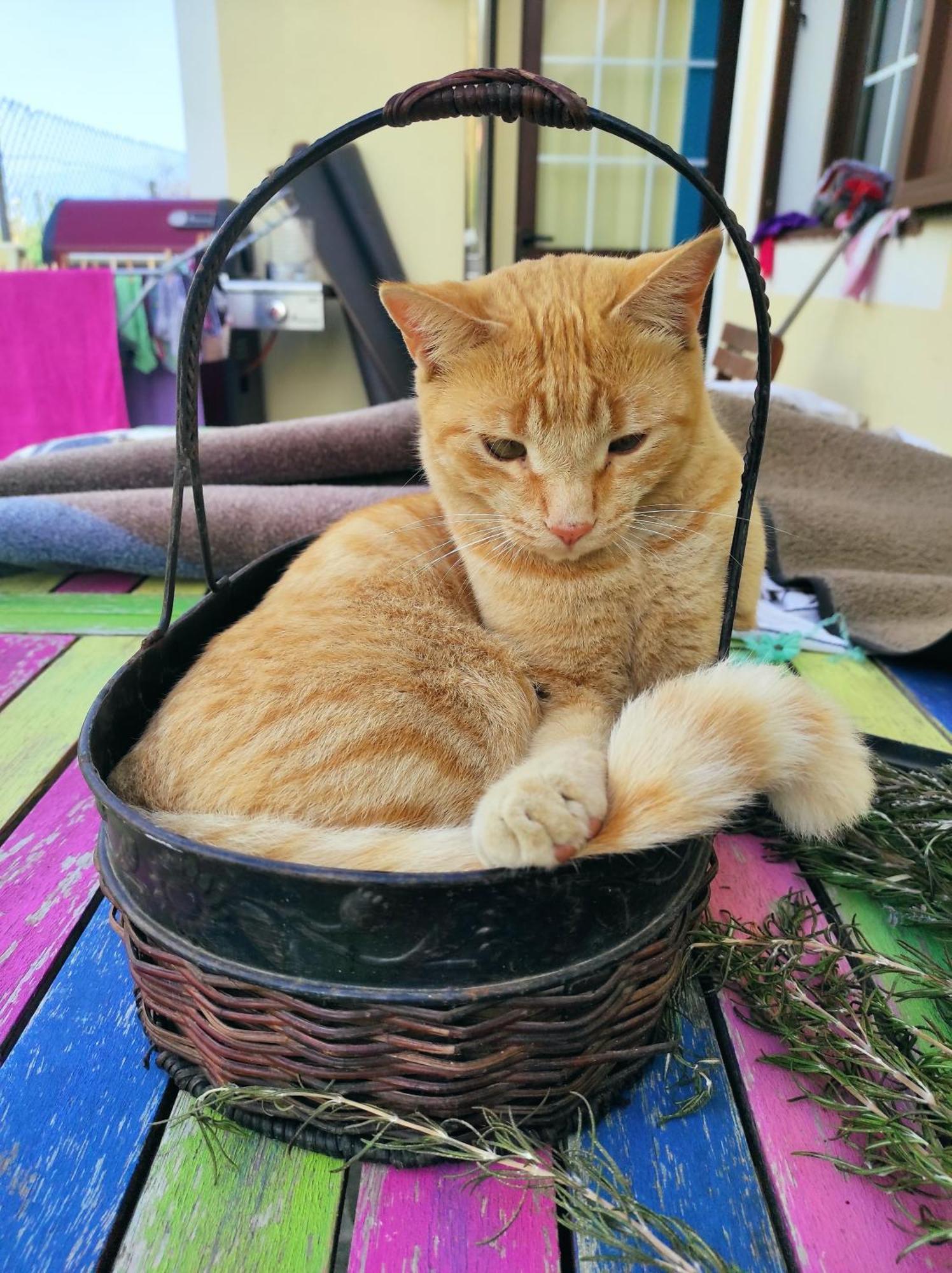 Nature Finca Apartment - Pure Relaxation Mazo エクステリア 写真