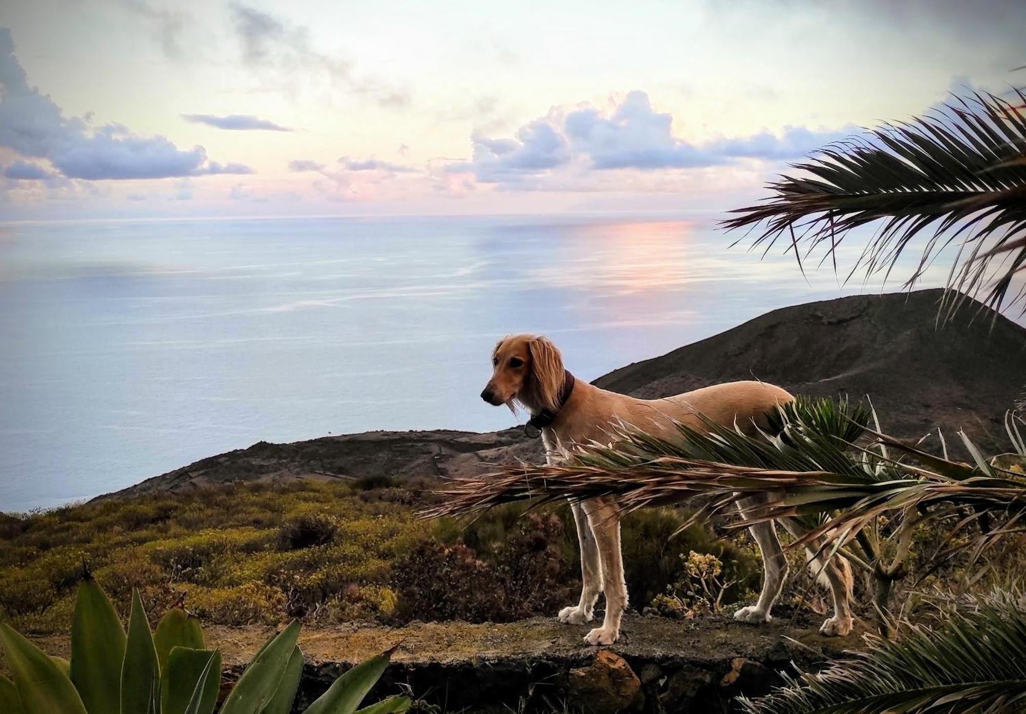 Nature Finca Apartment - Pure Relaxation Mazo エクステリア 写真